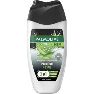 Гель для душа PALMOLIVE мужск. Очищение и уход 250мл. (12)