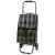 Тележка с сумкой Рыжий кот Tartan пласт.колеса, сумка 30х20х47см 002250 (10)