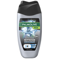 Гель для душа PALMOLIVE мужск. Арктический ветер 3в1 250мл. (12)